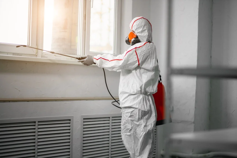 Professional mold remediation services in Milford, NH
